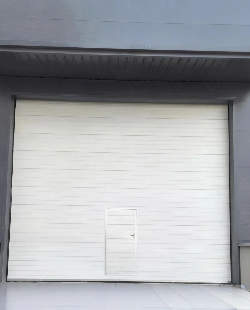 宁波市高扬程滑升门